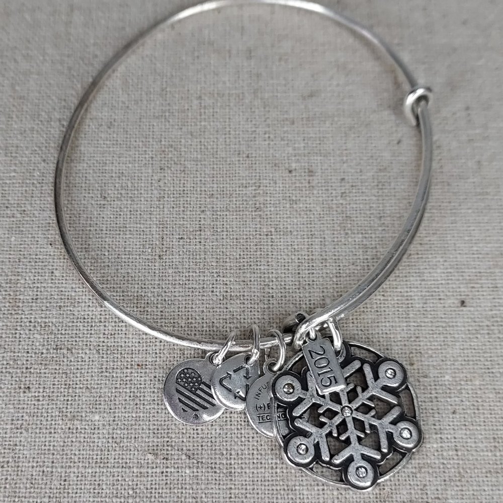 Alex and Ani stainless steal charm bracelet